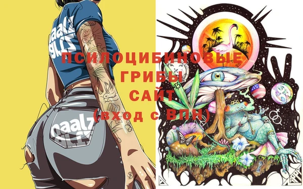МДМА Абаза